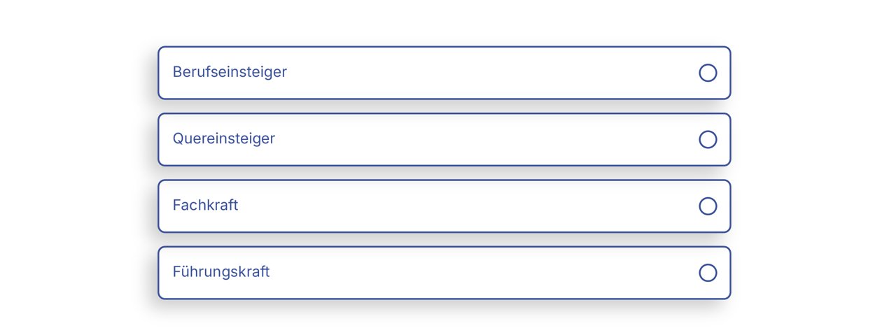 KI-Lebenslauf_Karrierestufe KI-Lebenslauf_Karrierestufe